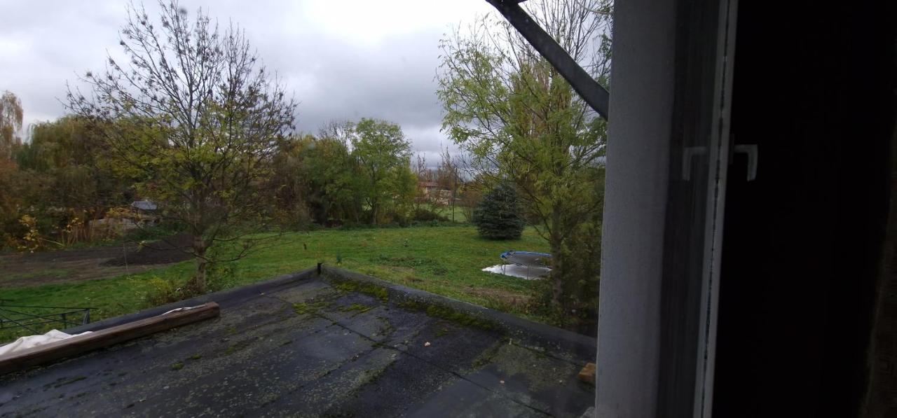 Darkwolf House Daire Merseburg Dış mekan fotoğraf
