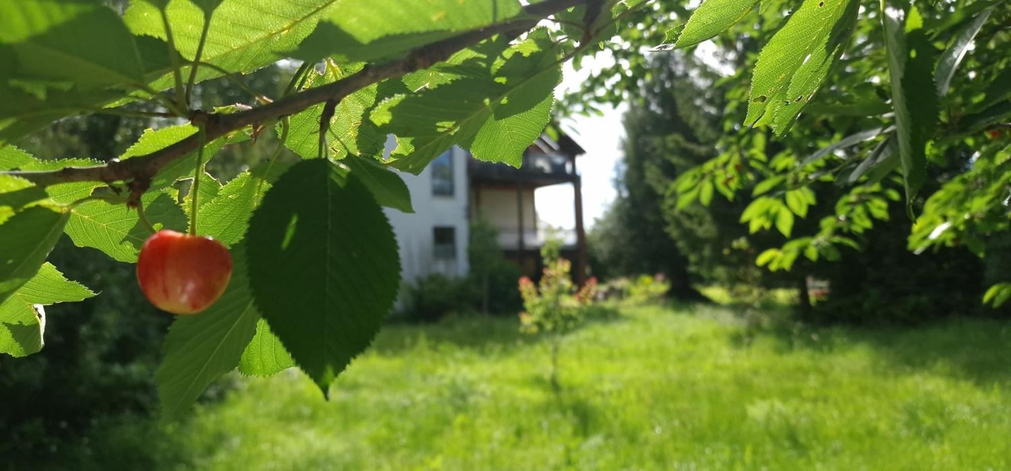 Darkwolf House Daire Merseburg Dış mekan fotoğraf
