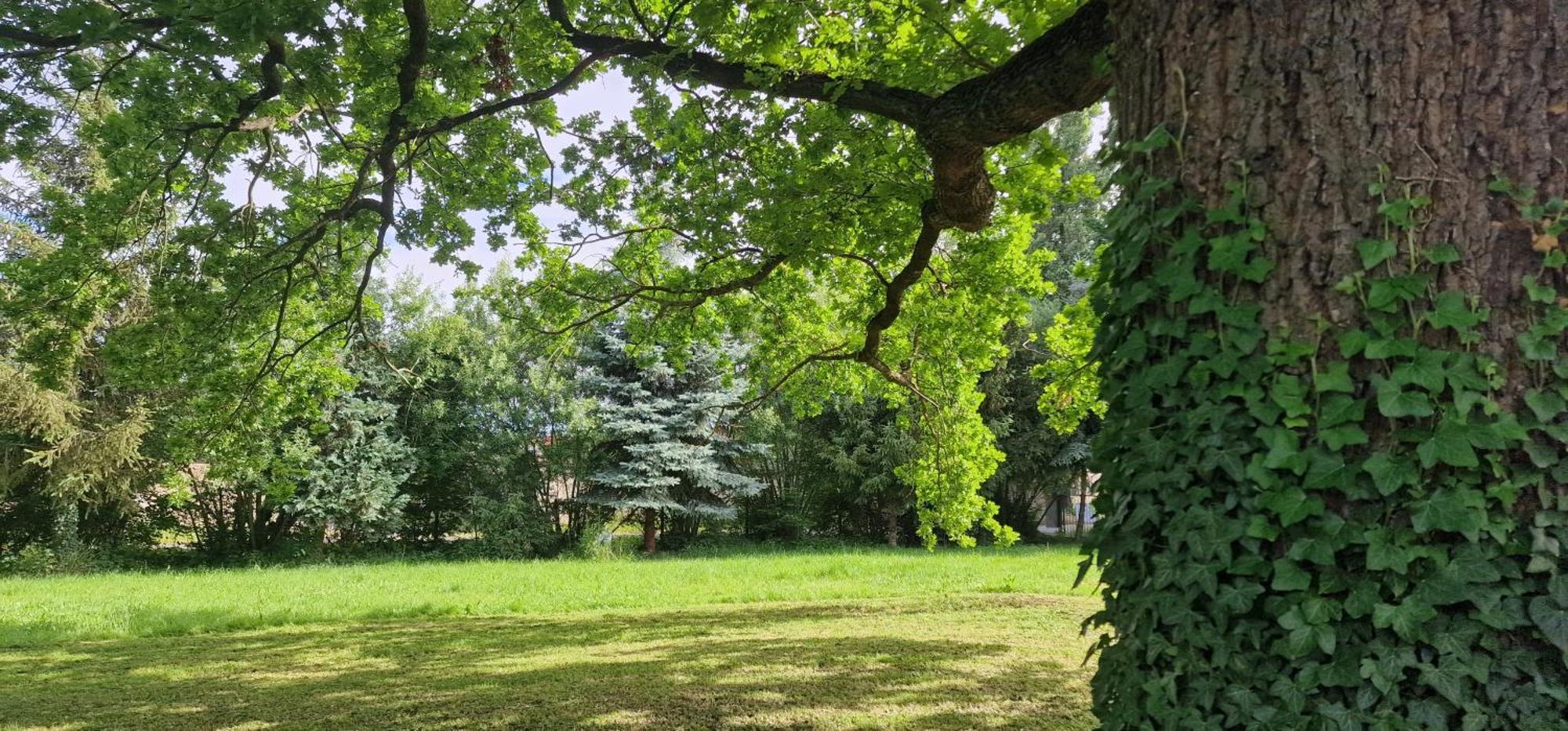 Darkwolf House Daire Merseburg Dış mekan fotoğraf