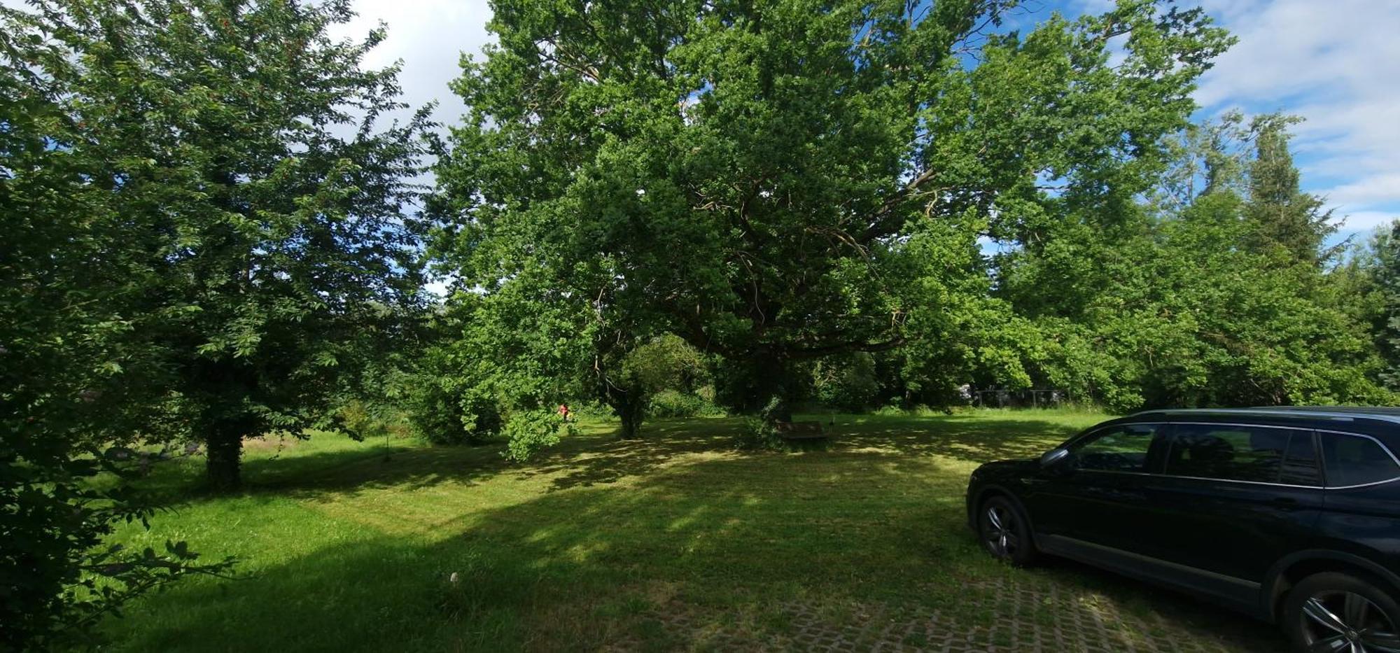 Darkwolf House Daire Merseburg Dış mekan fotoğraf